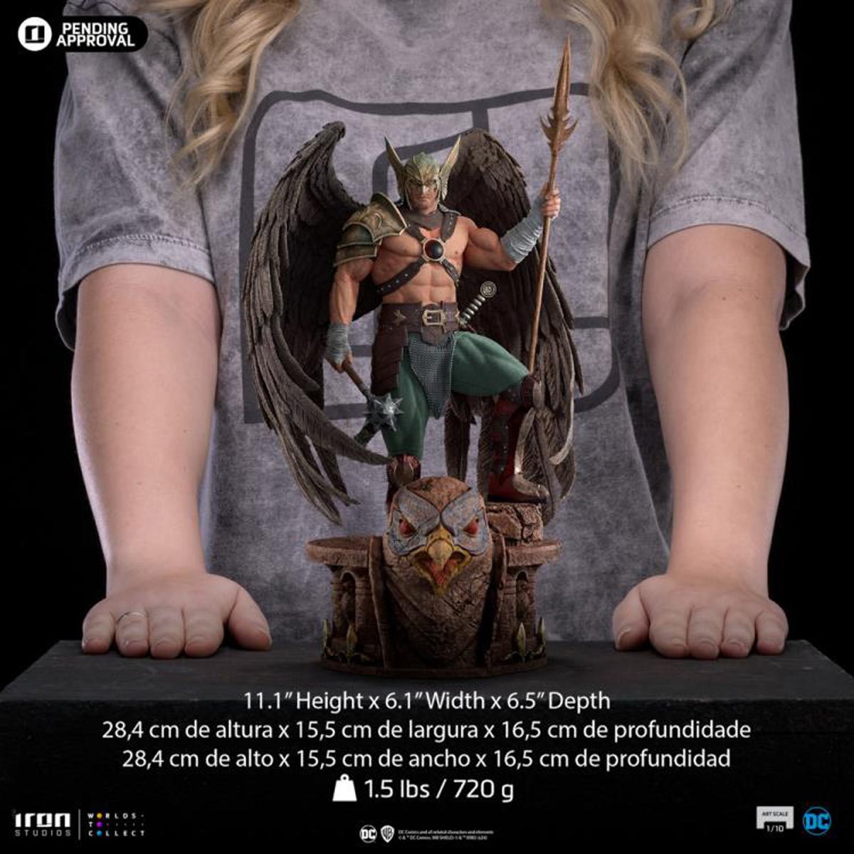 DC Comics Hawkman 10th Anniversary 1:10 Art Scale Limited Edition Statue - Image 10