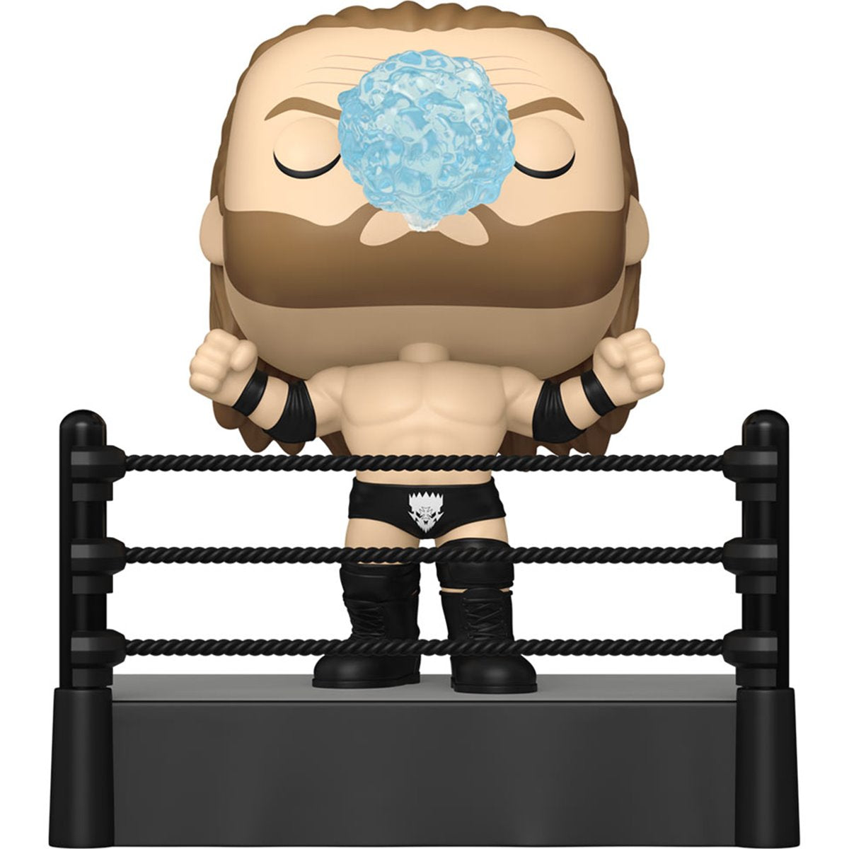 WWE Triple H (Ring Entrance) Premium Funko Pop! Vinyl Figure #192