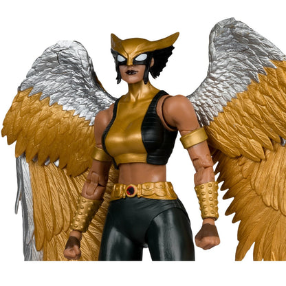 DC McFarlane Collector Edition Wave 15 Hawkgirl Kendra Saunders #63 7-Inch Scale Action Figure - Image 4