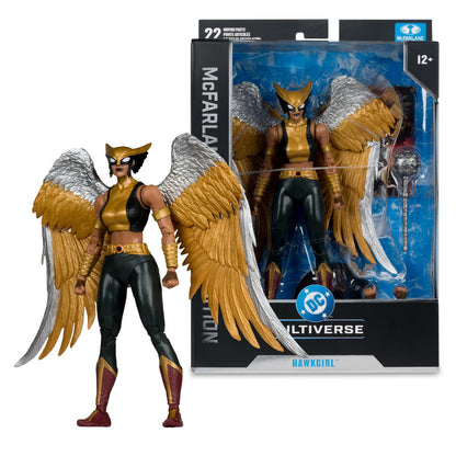 DC McFarlane Collector Edition Wave 15 Hawkgirl Kendra Saunders #63 7-Inch Scale Action Figure - Image 7