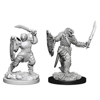 Dungeons & Dragons Nolzur's Marvelous Miniatures Dragonborn Female Paladin Mini-Figure 2-Pack