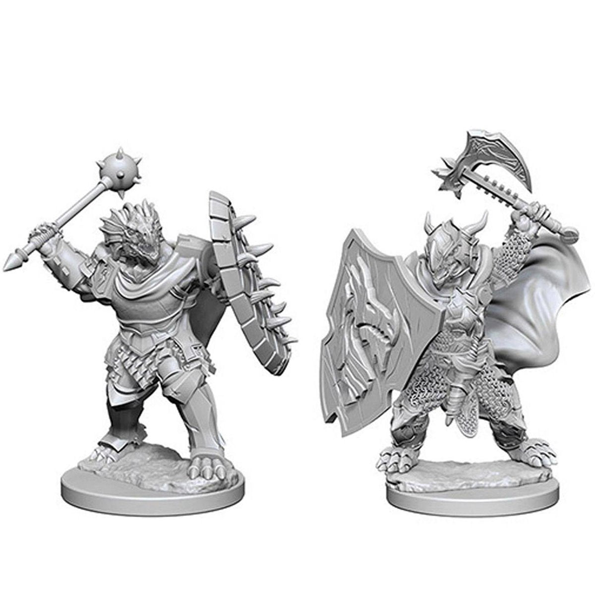 Dungeons & Dragons Nolzur's Marvelous Miniatures Dragonborn Male Paladin Mini-Figure 2-Pack
