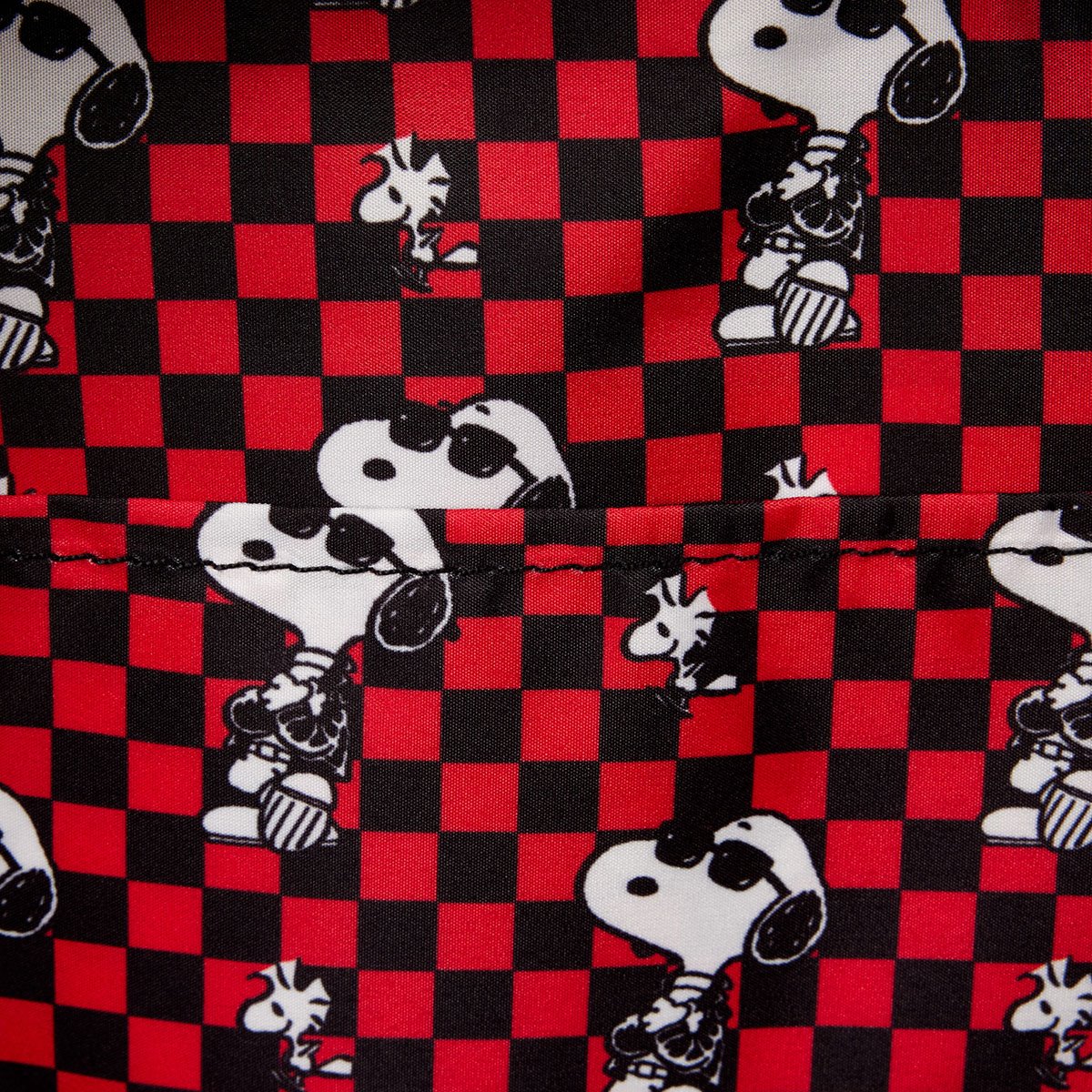 Snoopy and Woodstock Grunge Mini-Backpack - Image 5