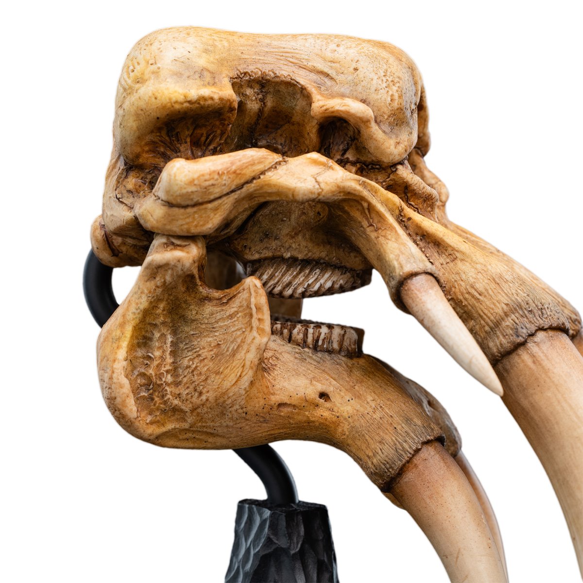 The Lord of the Rings Trilogy Skull of a Mumak Statue - Image 4