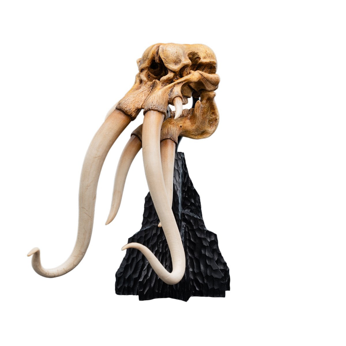 The Lord of the Rings Trilogy Skull of a Mumak Statue - Image 7