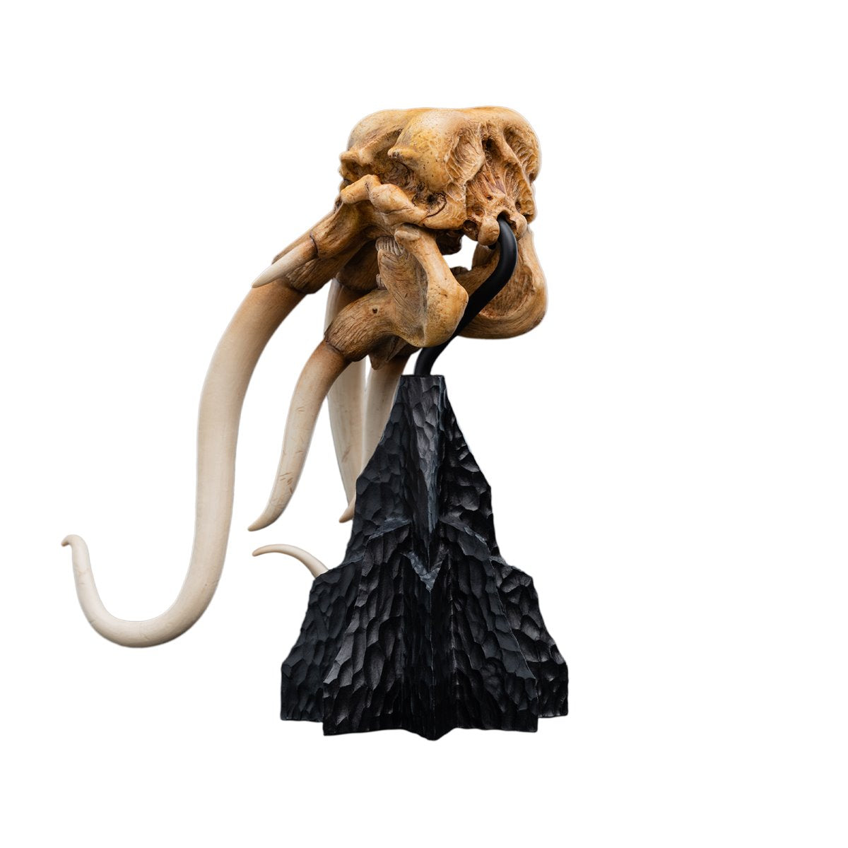 The Lord of the Rings Trilogy Skull of a Mumak Statue - Image 9